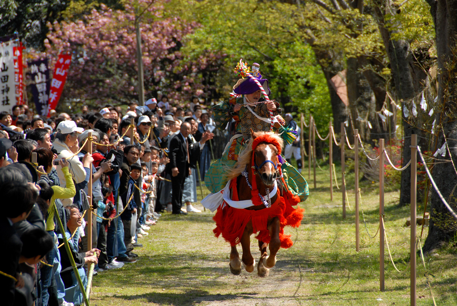 水若酢神社祭礼風流 (2)