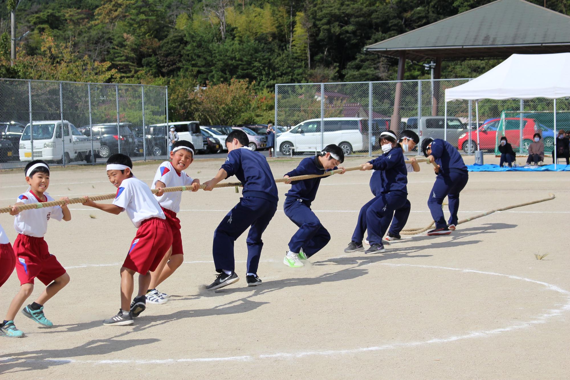 グラウンドで紅白のチームが綱引きを頑張る様子の写真