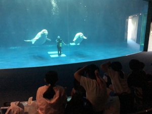 館内で児童たちがアザラシを閲覧している様子の写真