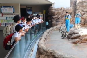水族館でペンギンを見学する児童たちの写真