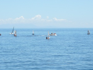 穏やかな海にヨットが並んで進む様子を写した写真