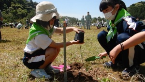 野外で児童たちが協力して苗木を植えている写真