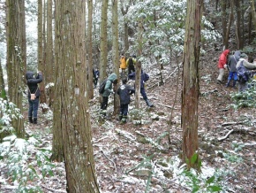 雪の残る森を散策しながらヤマネの巣材に使われる材料を探している児童たちの写真