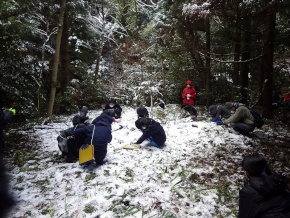 雪の森の中でしゃがみこんで熱中して観察活動をする3人の児童たちの写真