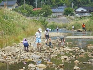 川辺で児童たちが石を拾いながら生き物を探している写真