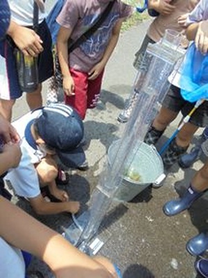 道端で児童たちが水質調査の道具を使って観察している写真