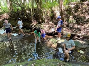 木陰の沢で児童たちが網とバケツを持って生き物を採集している写真