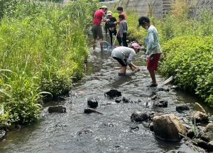 川で児童たちが水遊びや生き物観察をしている写真