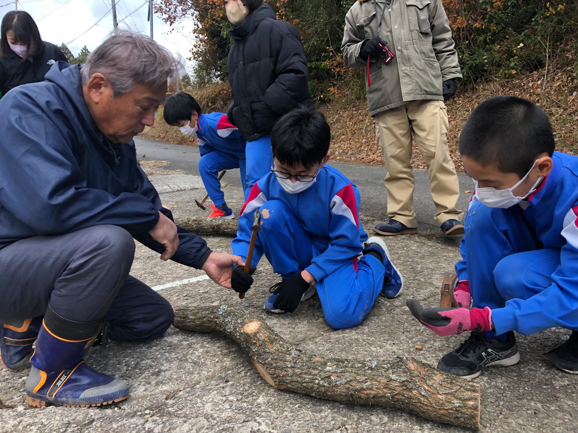 地面に置かれた太い枝を観察する大人と児童たちの写真