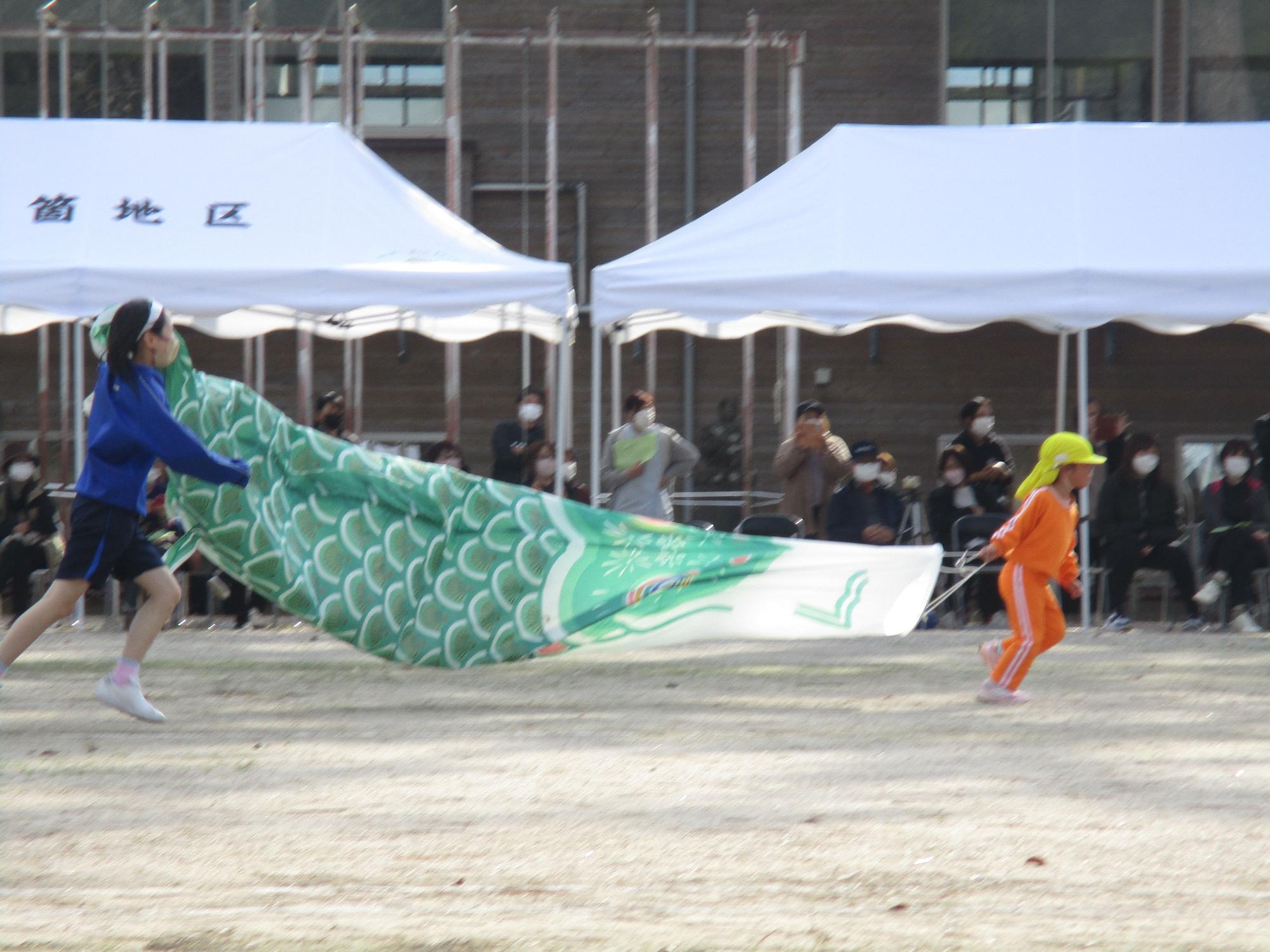 校庭で低学年の児童と高学年の児童が鯉のぼりを持って走っている写真