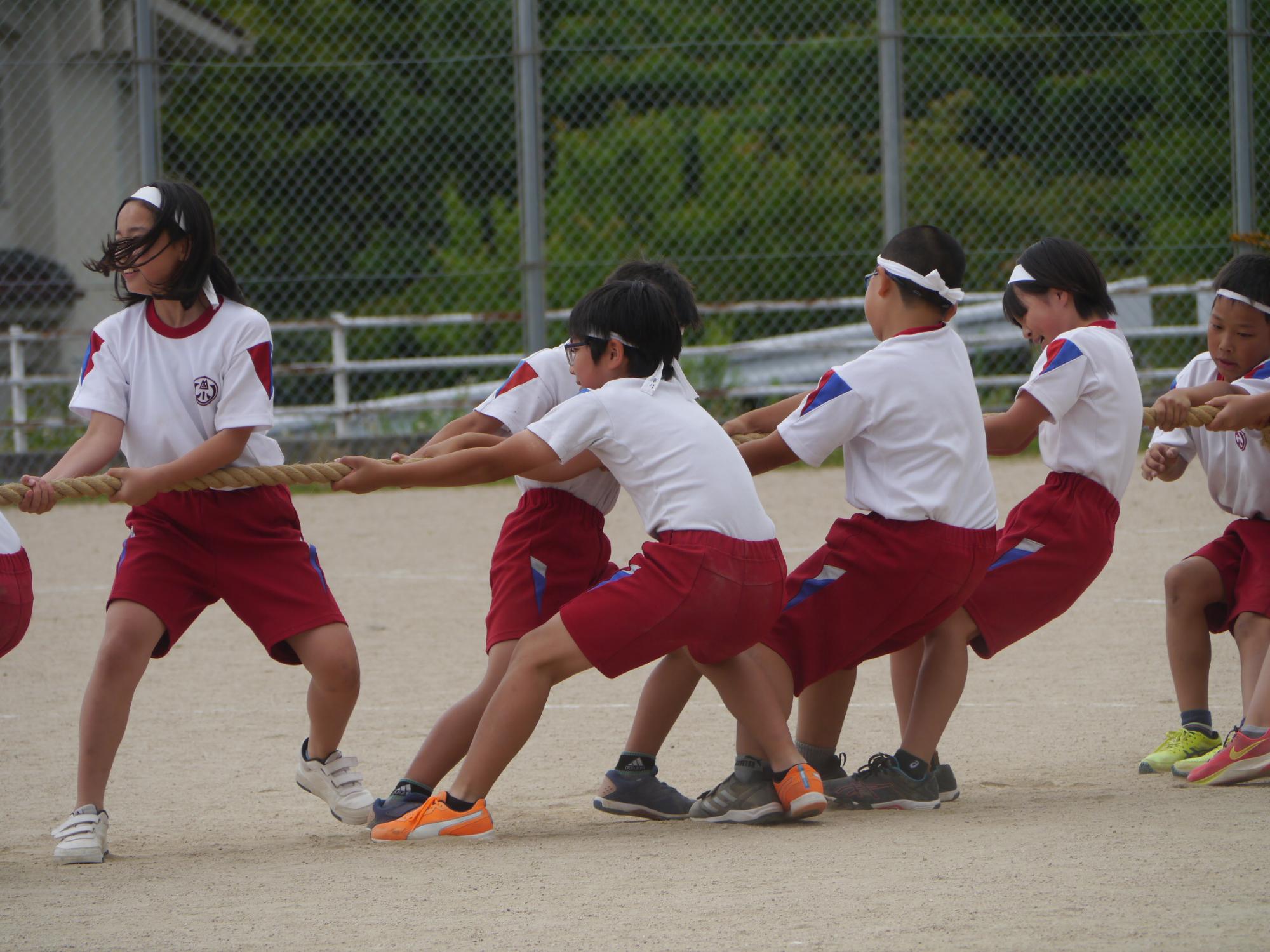 校庭で赤い体操着を着た児童たちが綱引きをしている写真