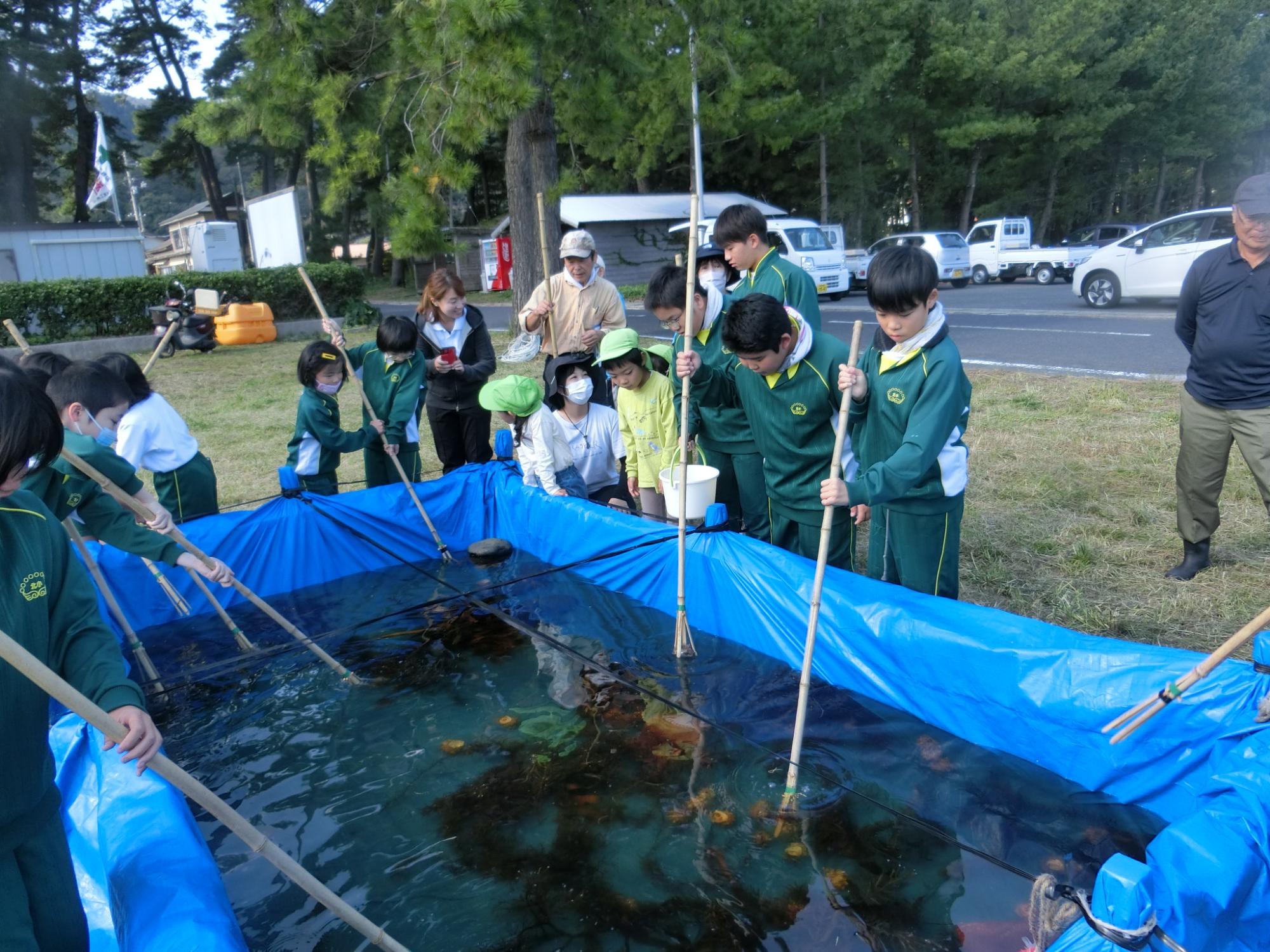 青いビニールシートで覆われた大きな水槽を取り囲み、長い棒状の漁具を手にして水の中をすくっている児童達の写真