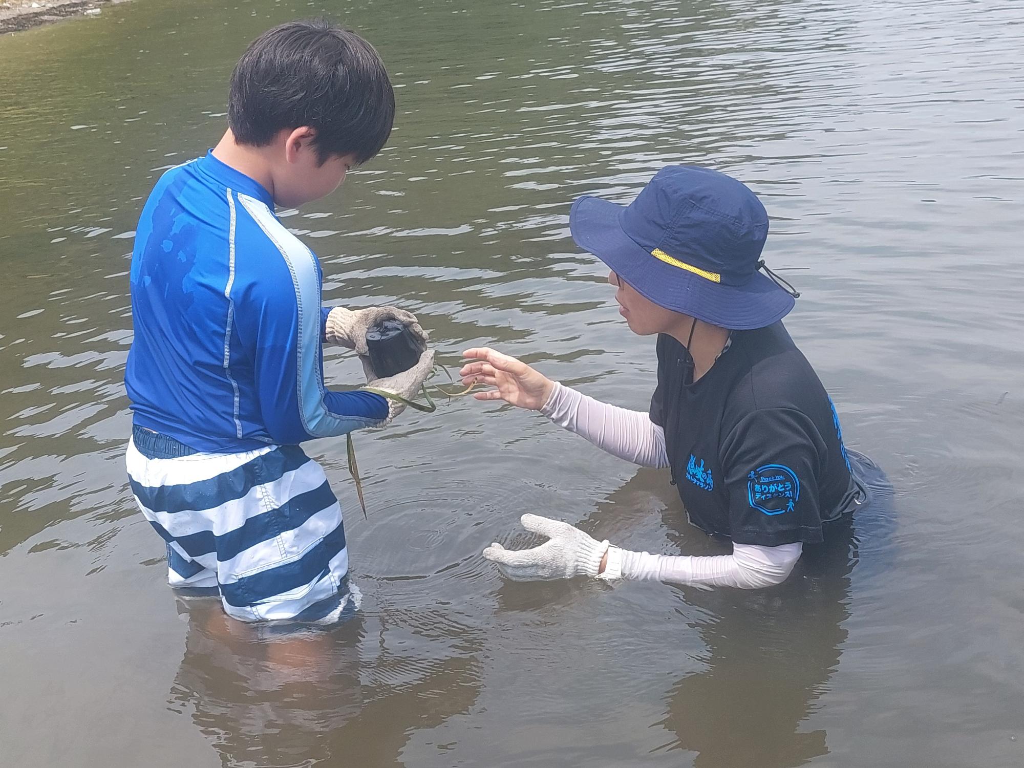 川の中で講師と児童が植物を手に観察している写真