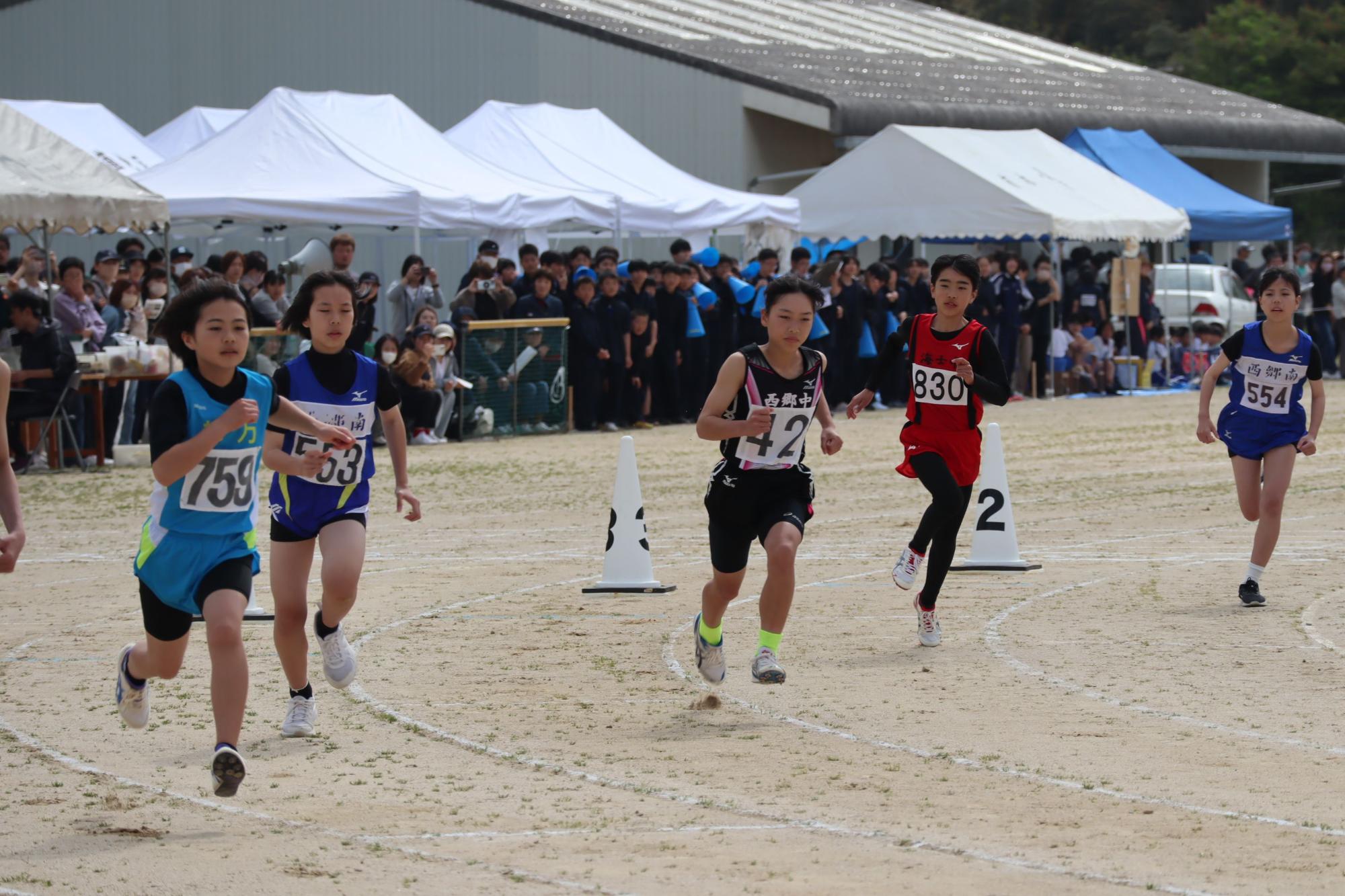 運動場で女子生徒たちが、陸上競技をしている写真