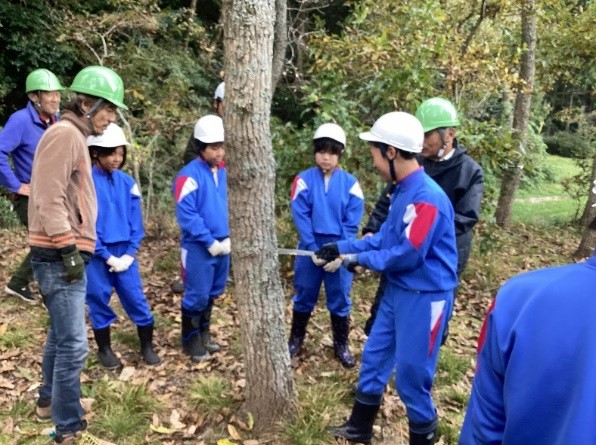 森の中でヘルメットをかぶった児童たちが木を伐採する体験をしている写真