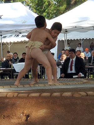 土俵の上で男子児童が相撲を行っている写真
