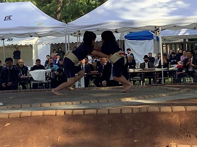 土俵の上で女子児童が相撲を行っている写真