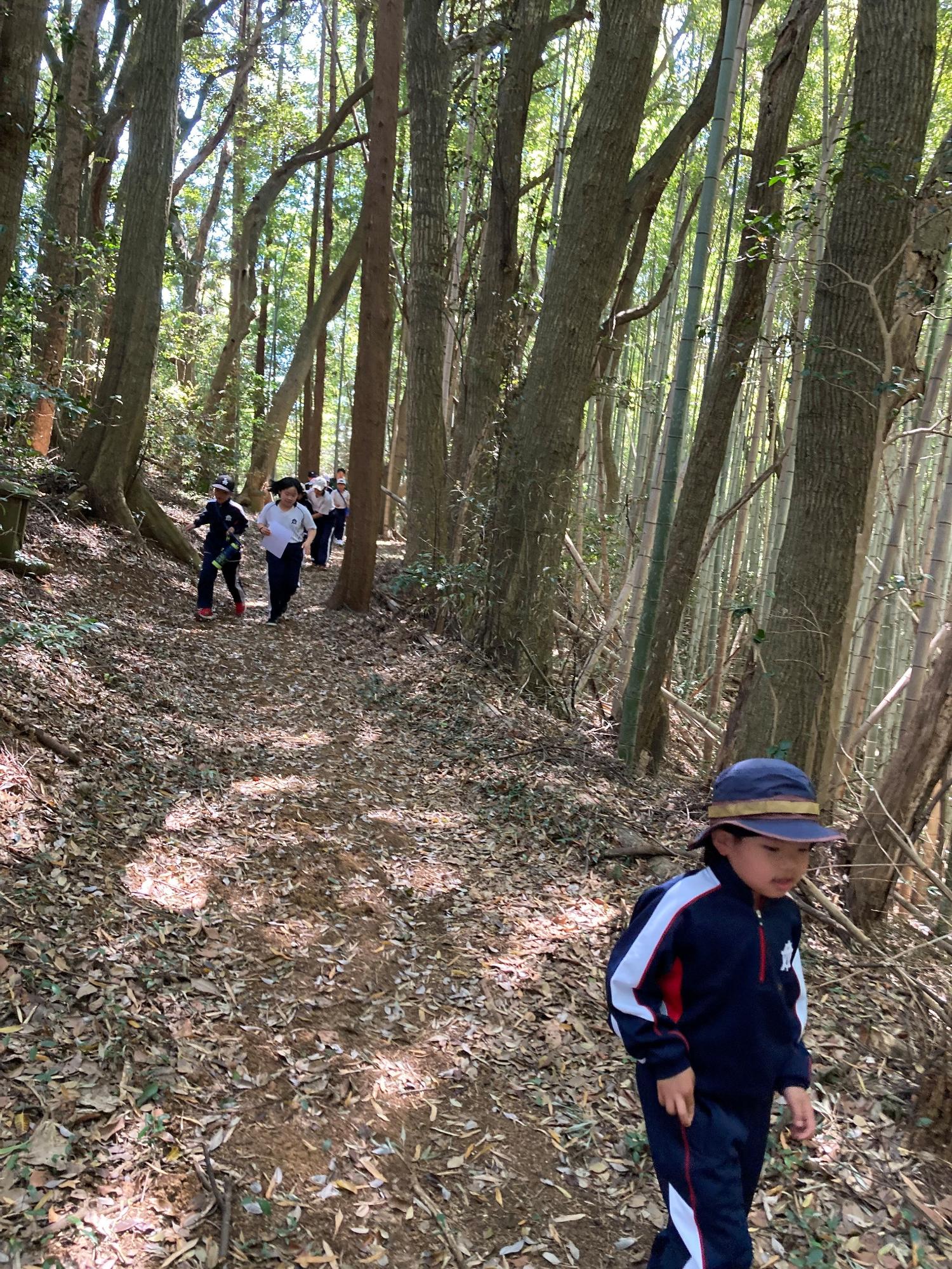 木々に囲まれた山道を児童たちが列になって歩いている写真