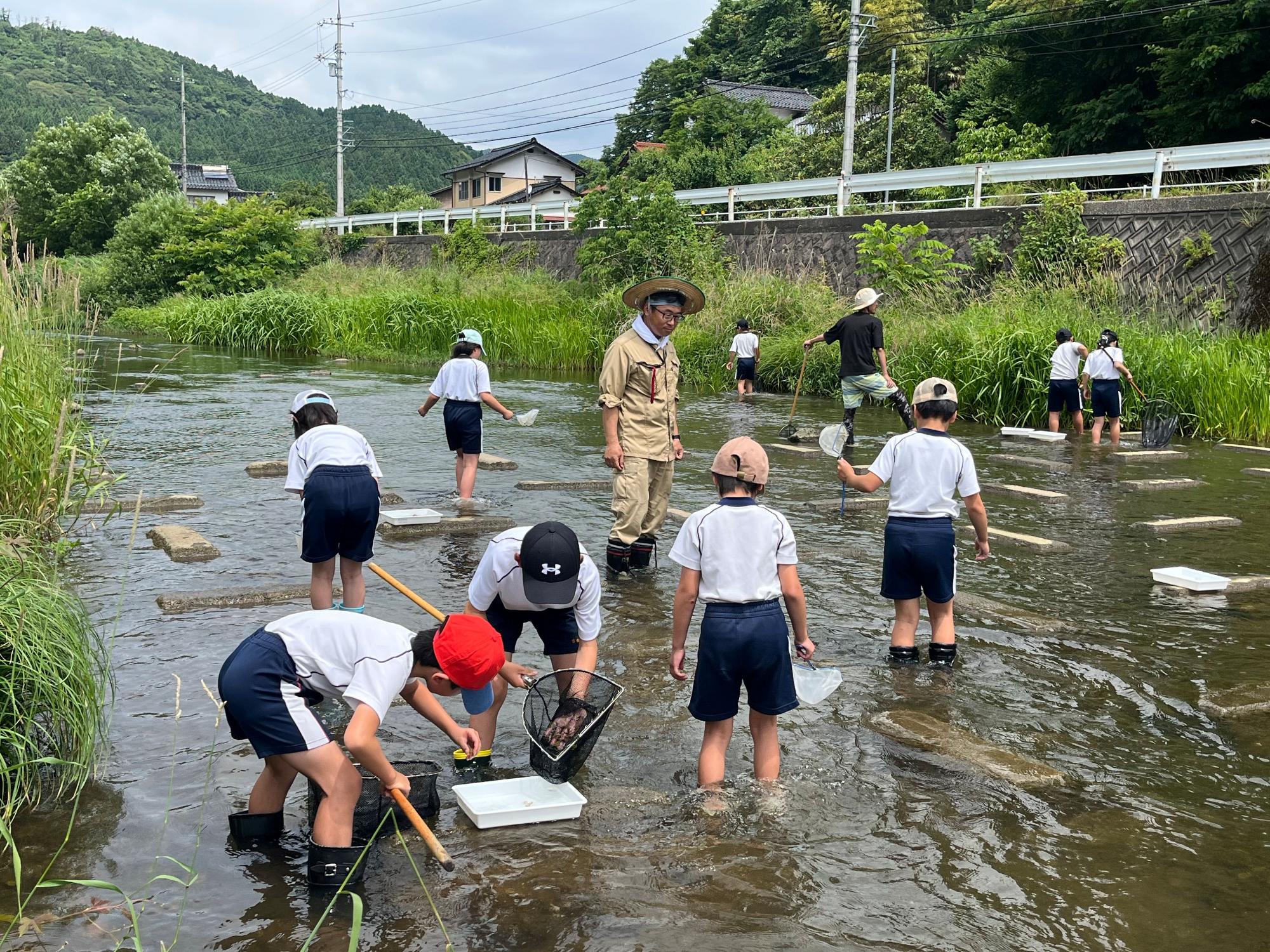 川の中で児童たちと地域の大人が協力して生き物を採集している写真