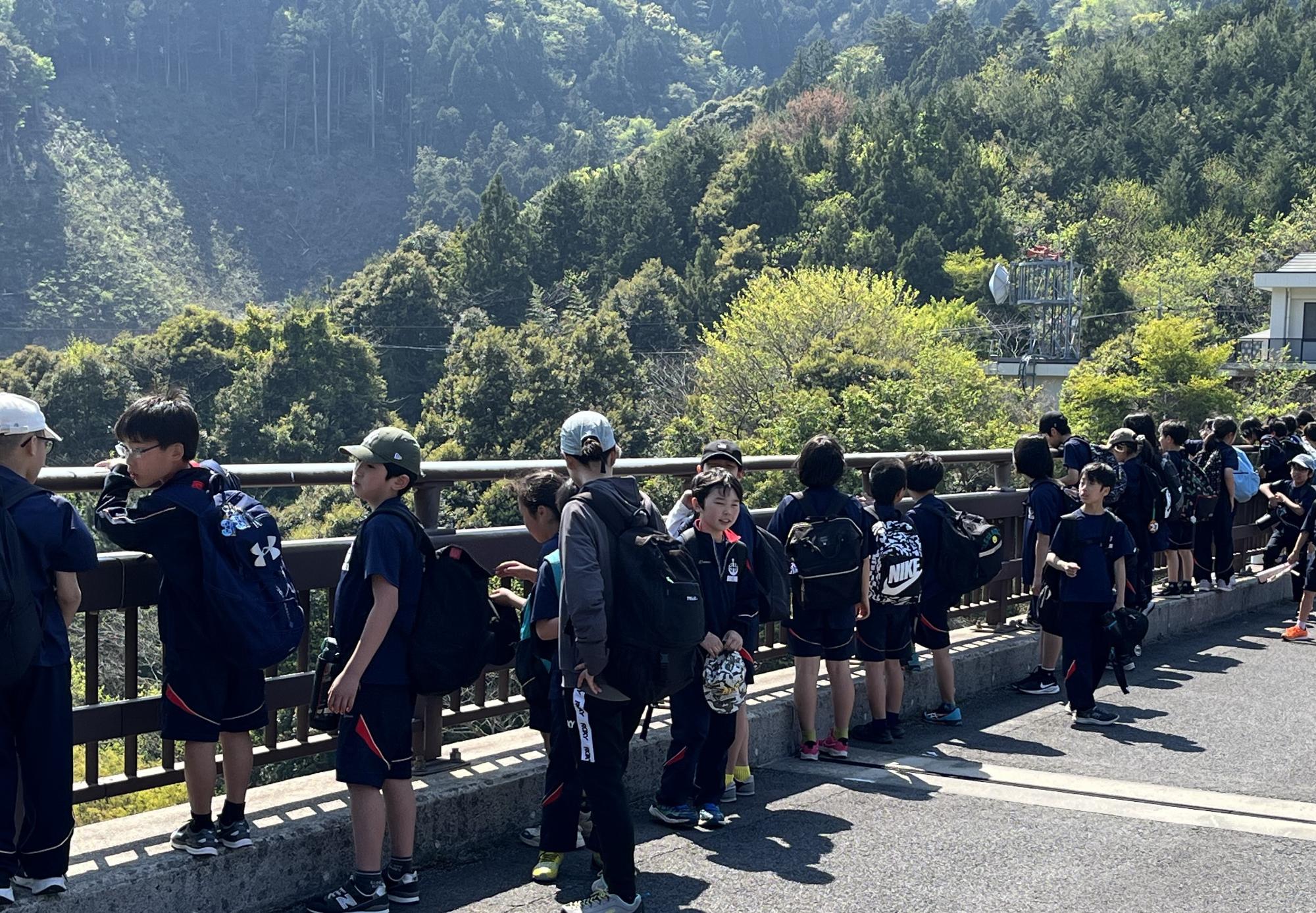 橋の上で子どもたちが景色を眺めている写真