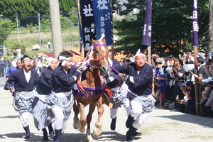 各地区の神馬が社殿に向かって走る馬入れ神事の様子
