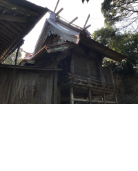 賀茂那備神社本殿を見上げる写真