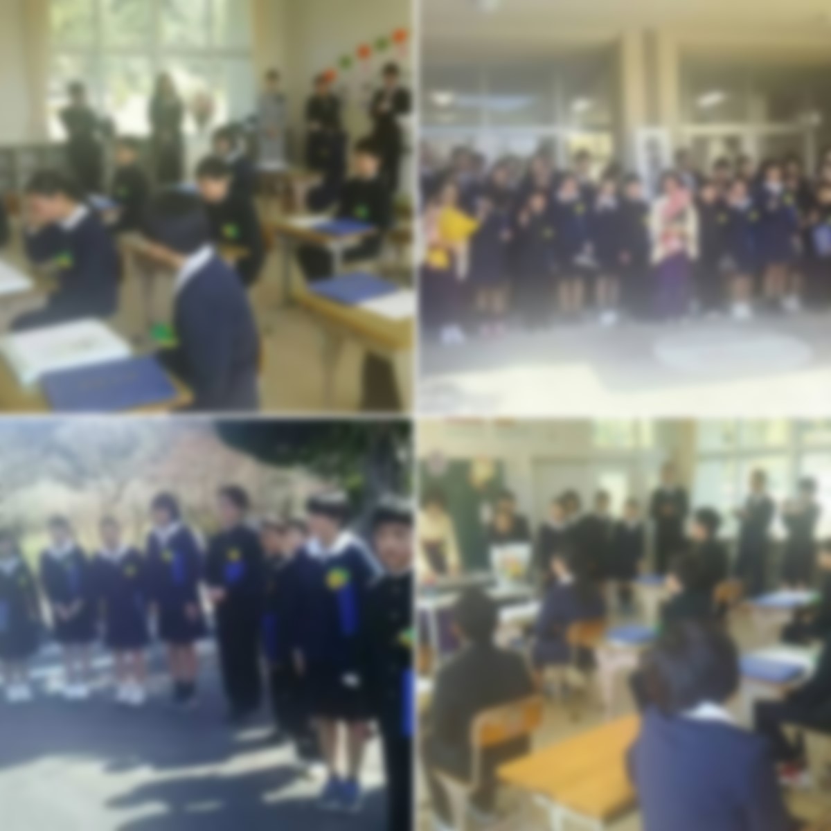 外で集合写真を撮ったり教室で先生の話を聞いたりしている複数の写真