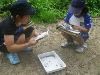 地面で児童たちが生き物を真ん中に置き、観察し記録している写真