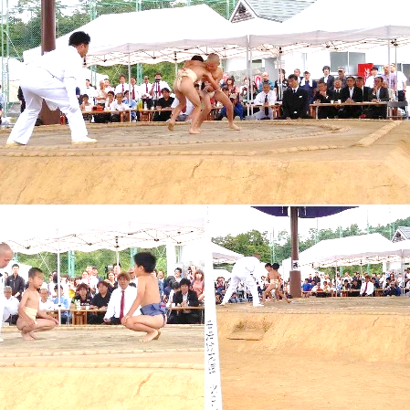 まわし姿の男子児童が土俵で相撲を取っている複数の写真