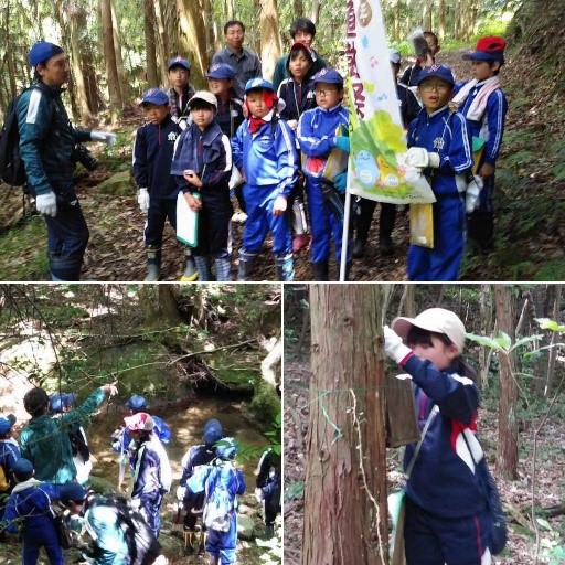 ジャージと帽子を着用した児童たちが山道を探索している複数の写真