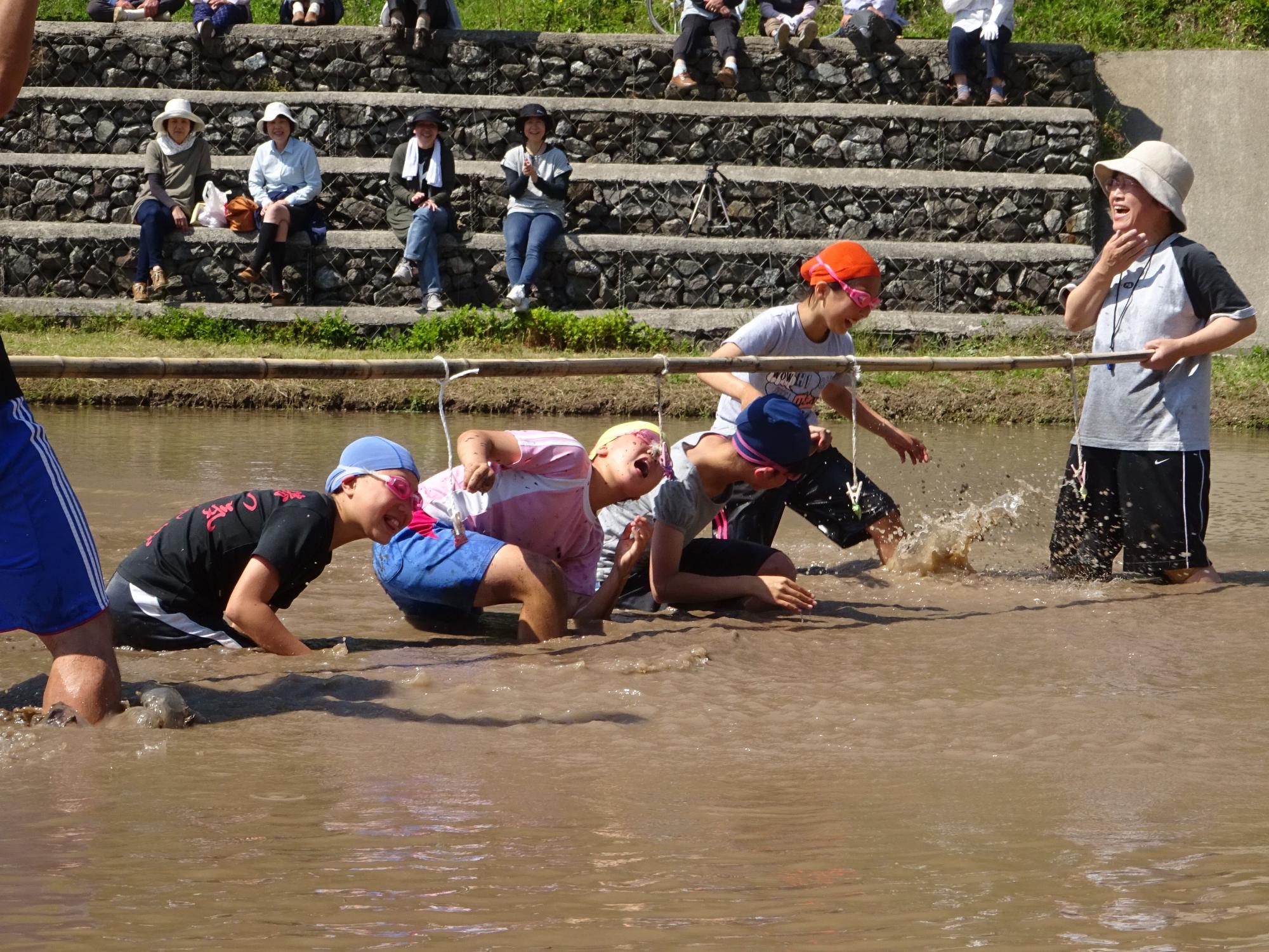 水の張った田んぼで、児童が横に張られた棒から吊るされた物を口で取ろうとしている写真