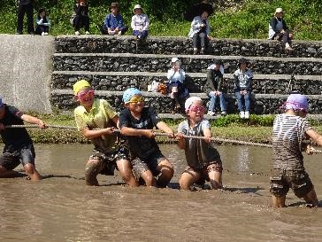 水の張った田んぼの中で、複数の児童がロープを引き合って綱引きをしている写真