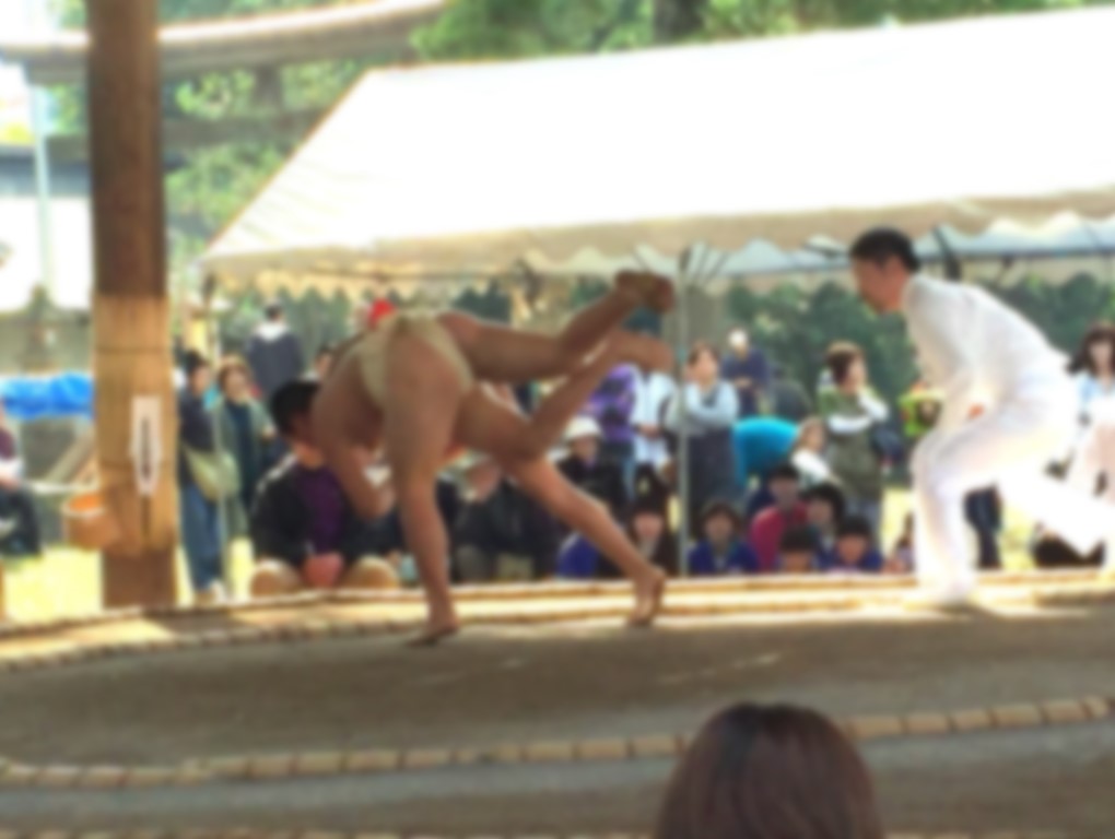 まわし姿の男子児童が土俵で相手を投げている写真