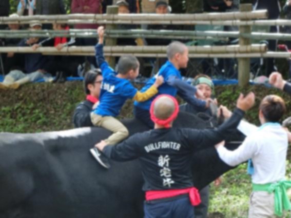 大きい牛の背に2人の児童が乗って、大人が支えている写真