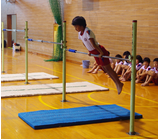 体育館で児童が鉄棒を披露している写真