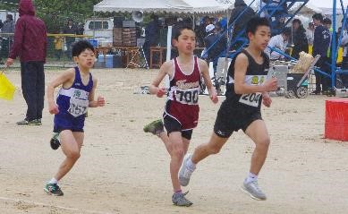 グラウンドで番号付きのゼッケンをつけている児童たちが走って競い合っている写真