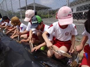 児童たちが運動着を着て、スコップを使い土の植え替え作業をしている写真