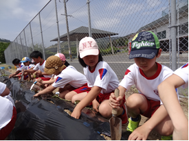 児童たちが運動着を着て、スコップを使い土を掘っている写真