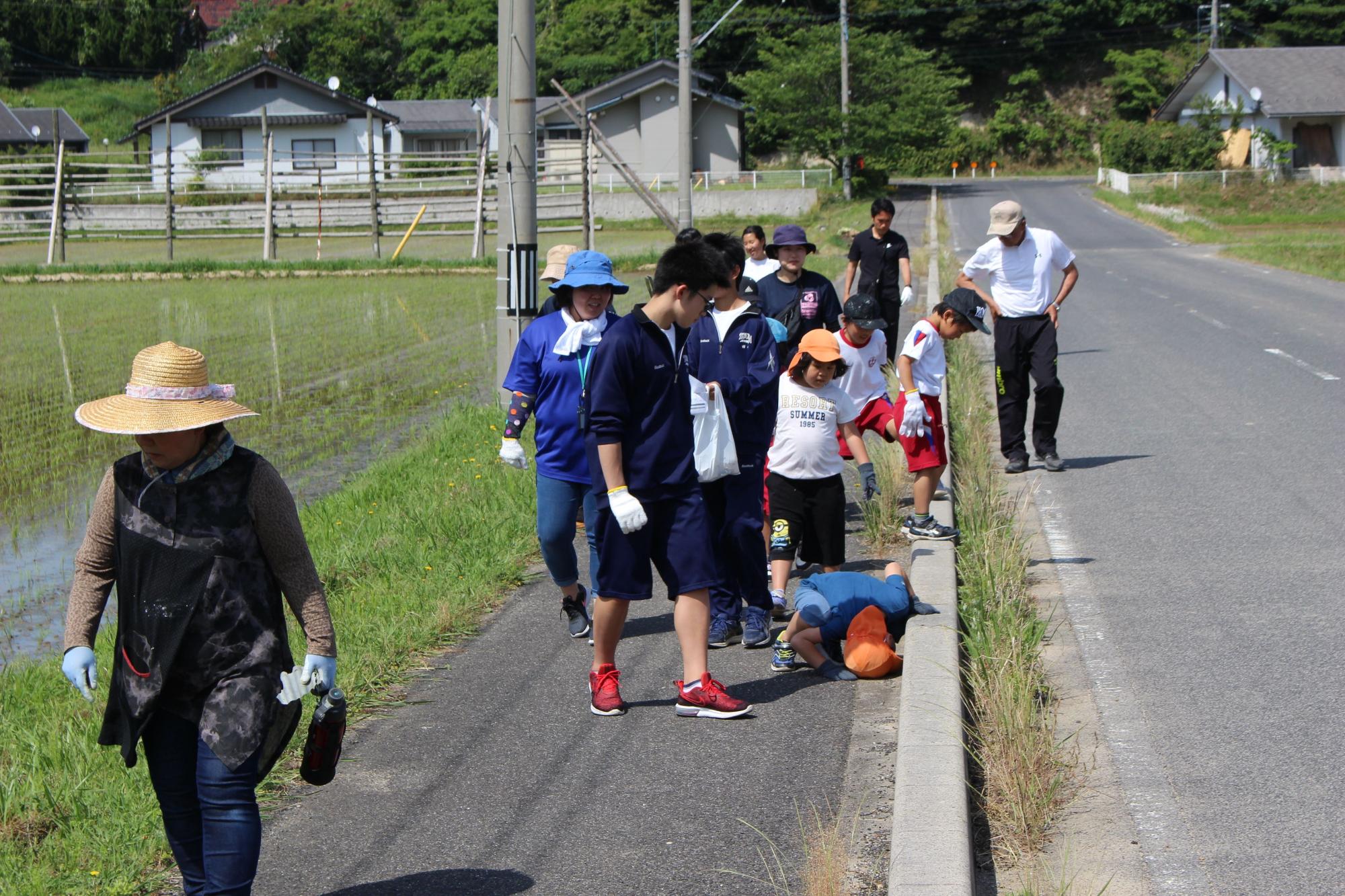 地域の人たちと歩道を歩きながら清掃している児童、生徒たちの写真