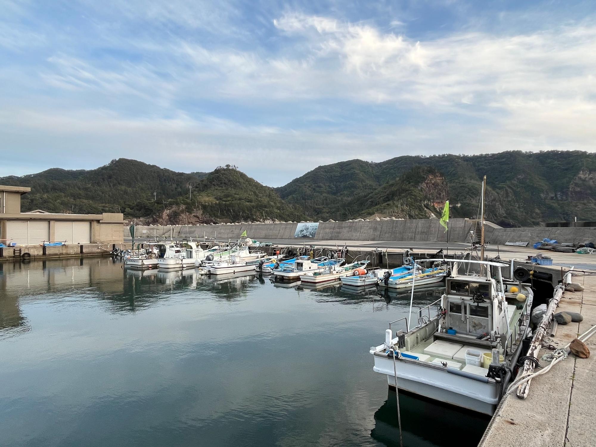 久見漁港の竹島パネルが設置された防波堤に沿って船が係留されている様子の写真