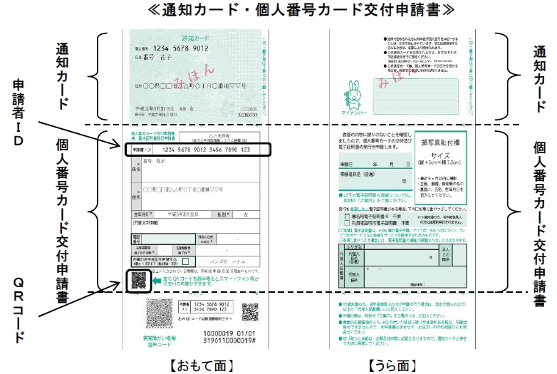 通知カード・個人番号カード交付申請書の見本の両面