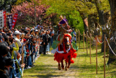 Mizuwakasu Shrine Sairei Furyu Festival