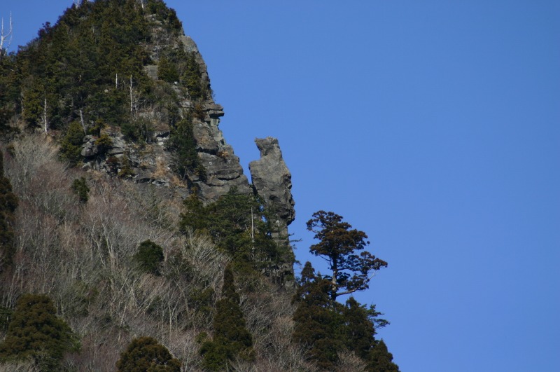 トカゲ岩(1)の写真