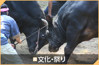 文化・祭り
