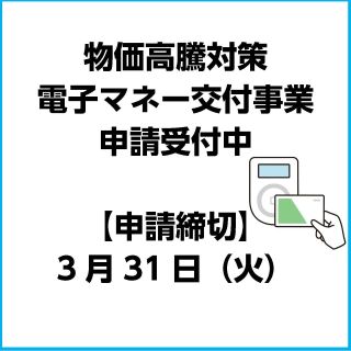 電子マネー交付事業の画面