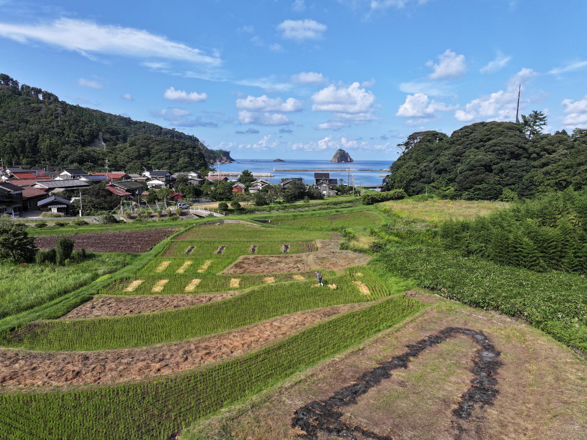 布施地区 (2)