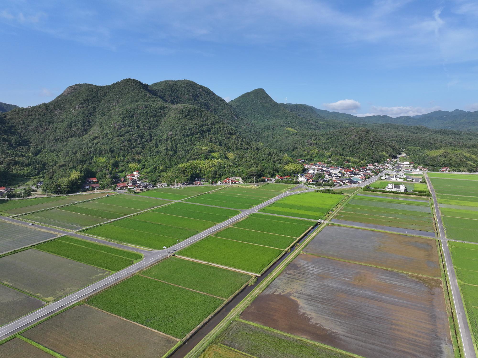 五箇地区 (1)