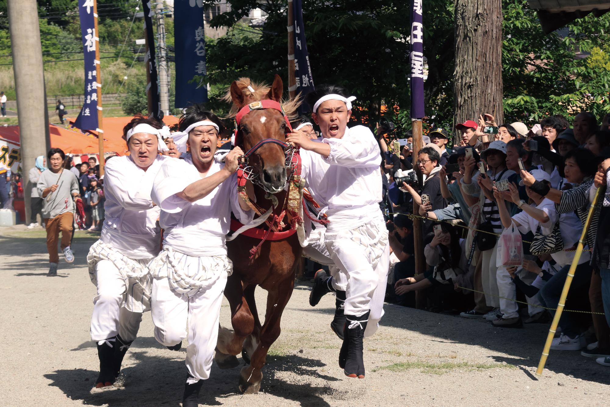 玉若酢命神社御霊会風流 (1)