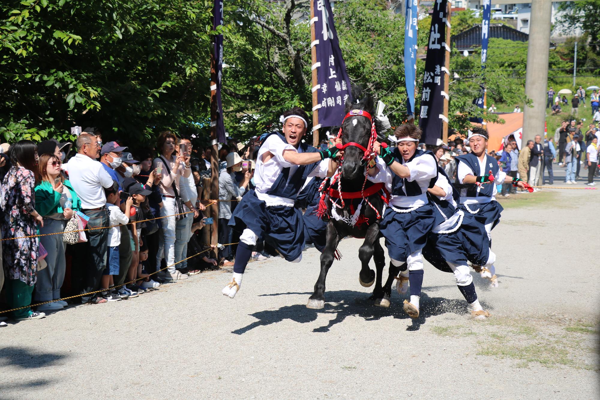 玉若酢命神社御霊会風流 (2)