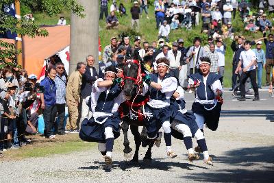 御霊会風流馬入れ神事の様子写真